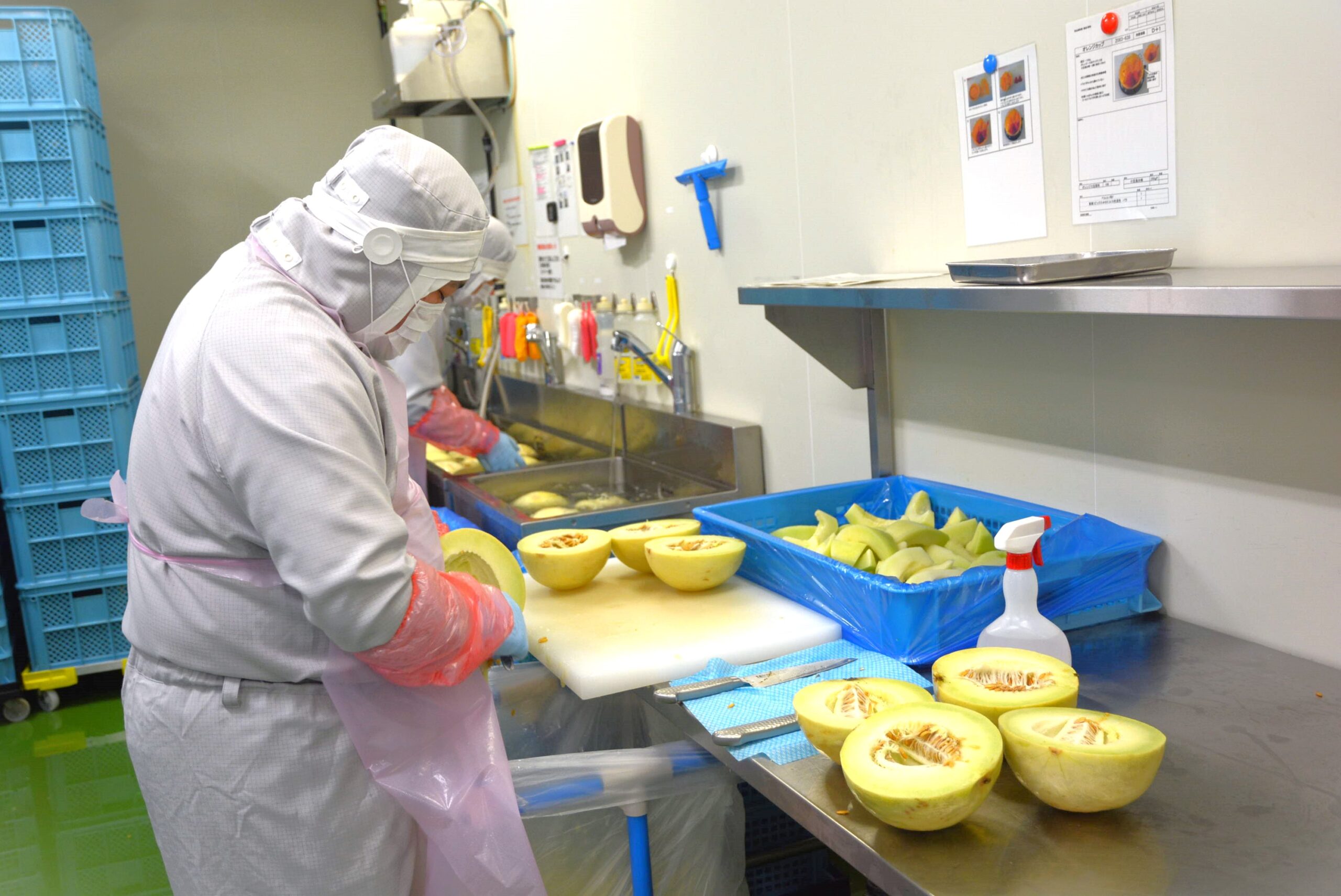 食品工場での盛付・包装等 | 日勤 | 週払いOK | 駅から送迎バス有